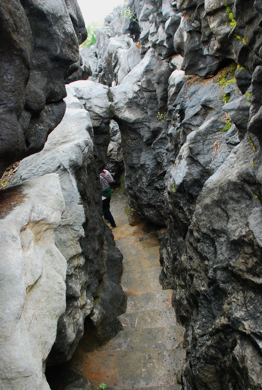 dsc_7005.jpg