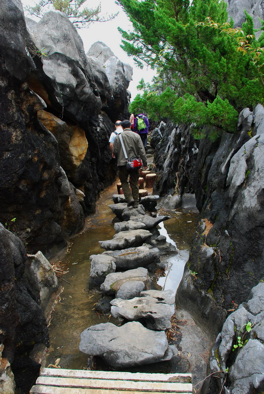 dsc_7009.jpg