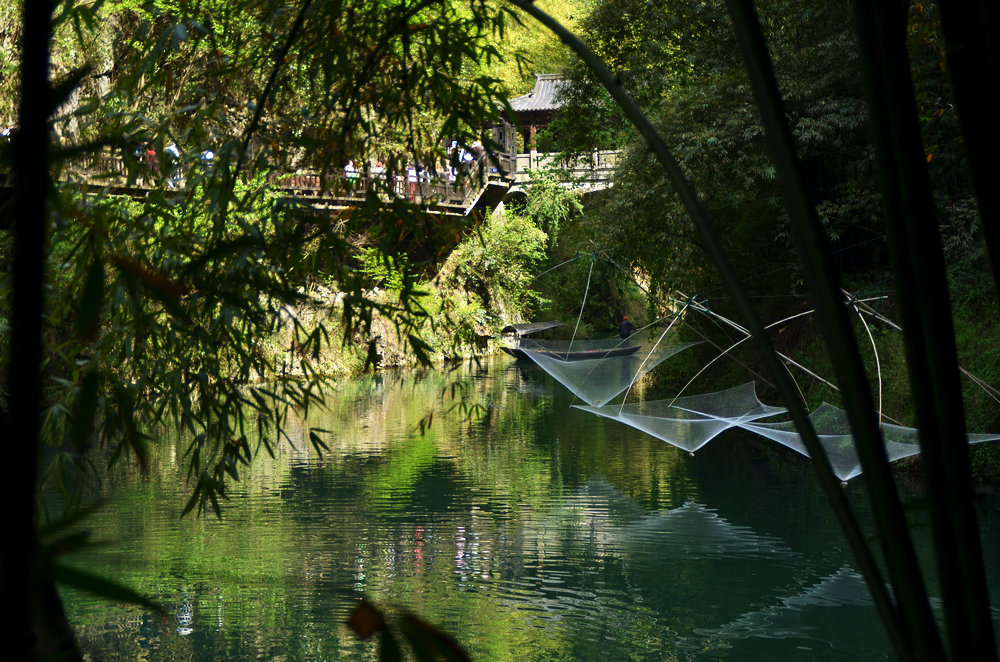 dsc_3384.jpg