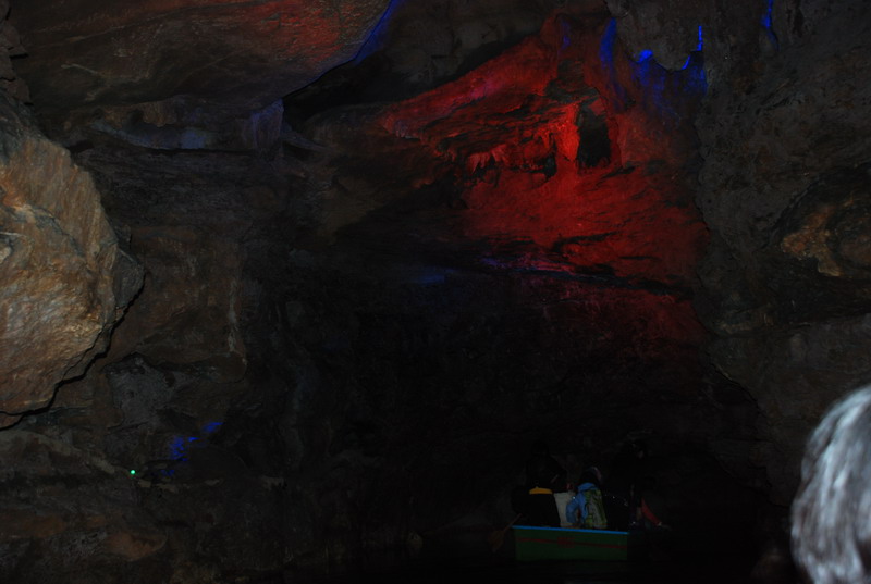 dsc_7223.jpg