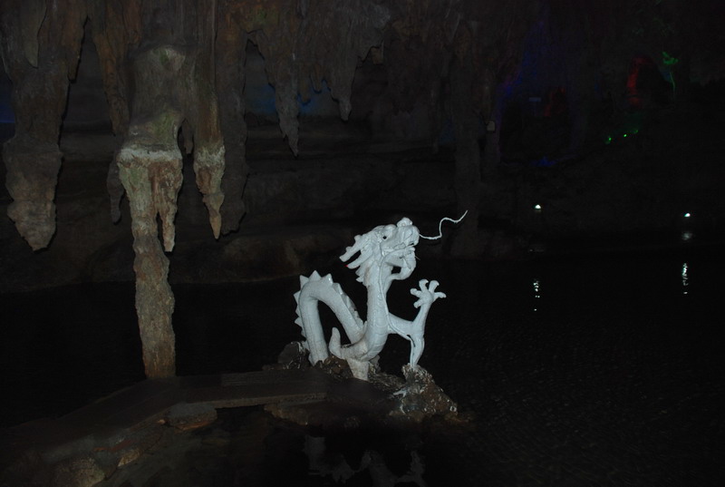 dsc_7239.jpg