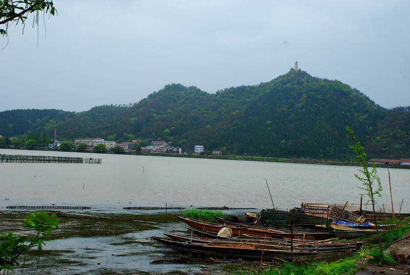 dsc_7308.jpg