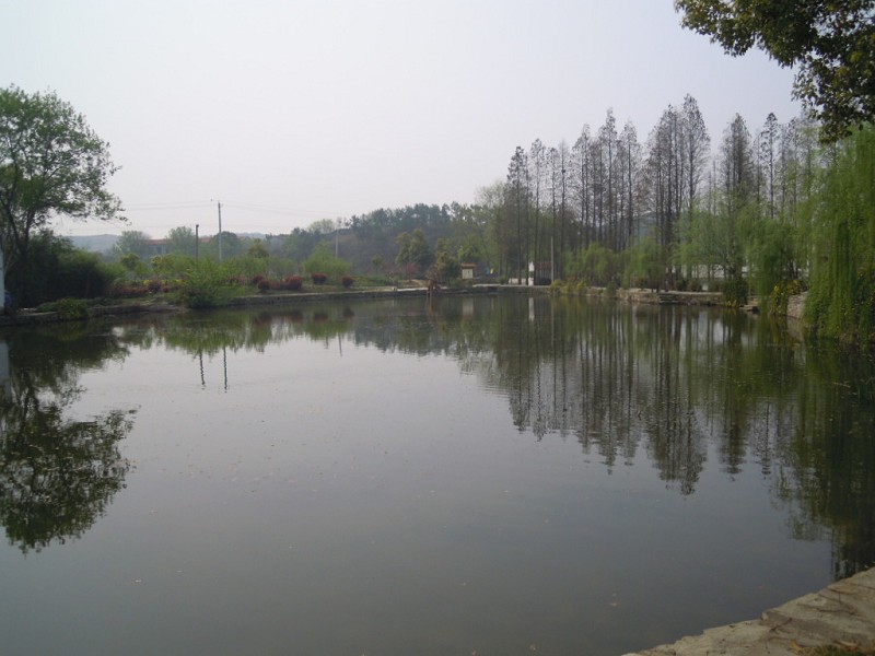 psbcahp8kg9.jpg