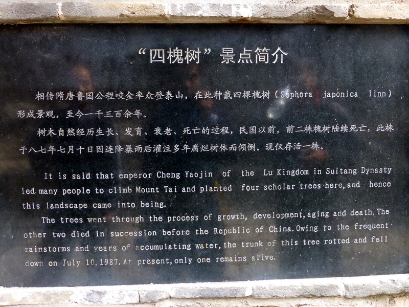 p1040189.jpg
