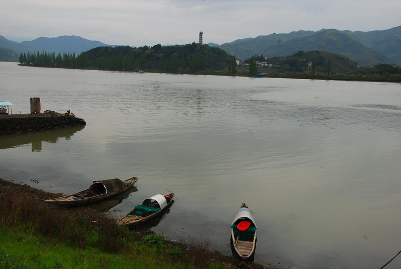 dsc_7382.jpg