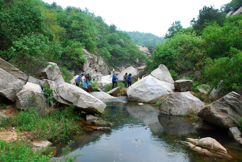 dsc_7646.jpg
