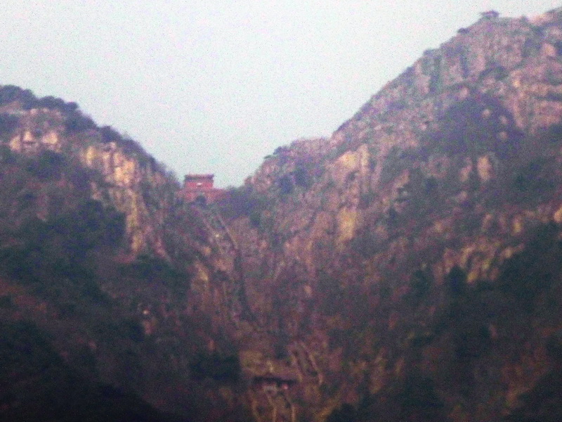 p1040202.jpg
