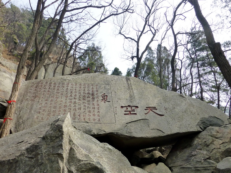p1040214.jpg