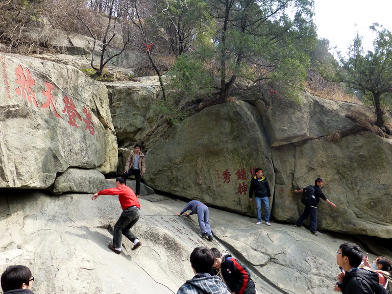 p1040244.jpg
