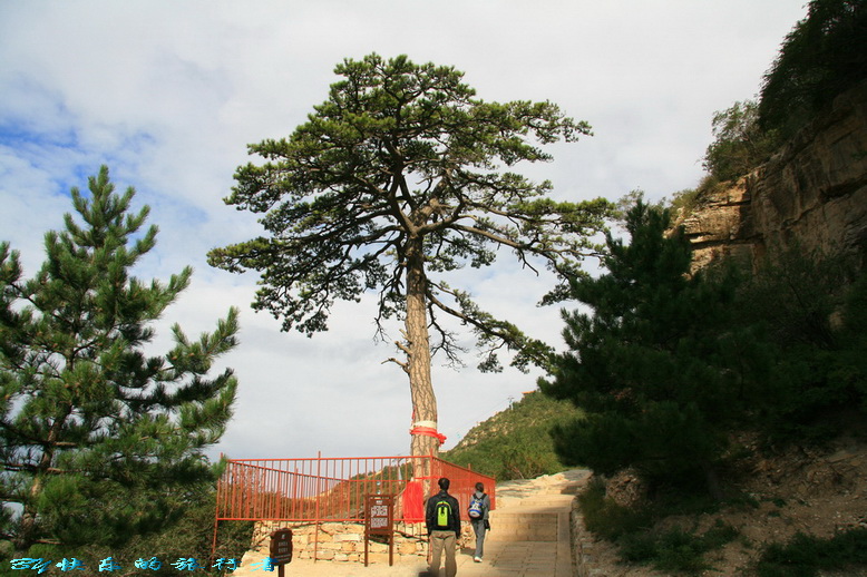 943.jpg