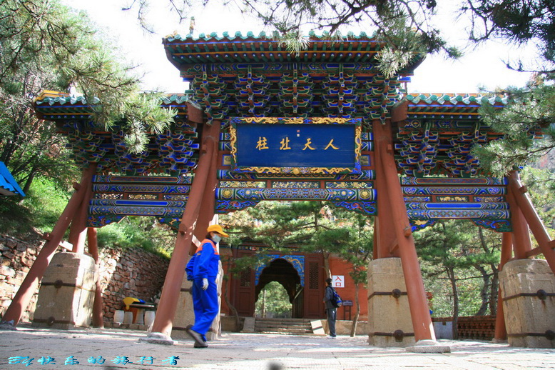 956.jpg