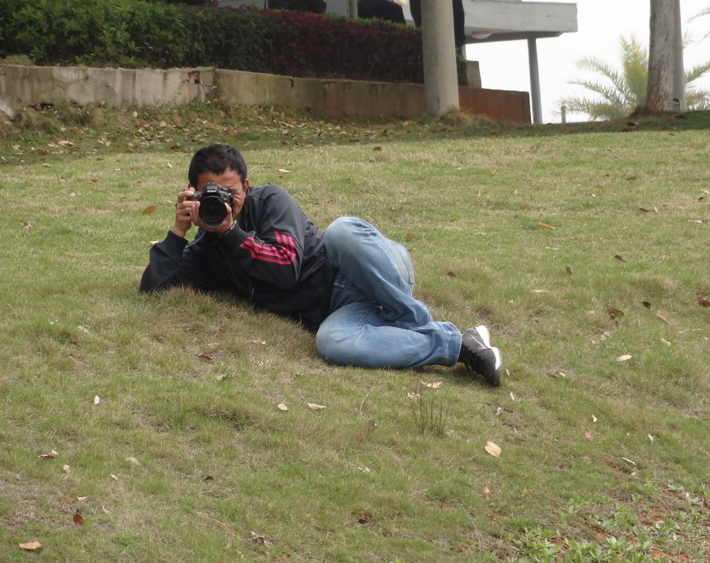 dsc02487.jpg
