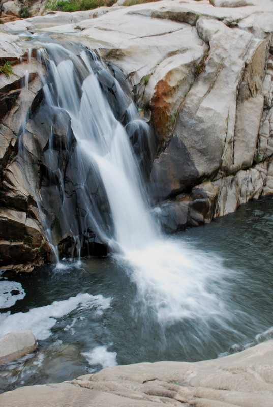 dsc_7724.jpg
