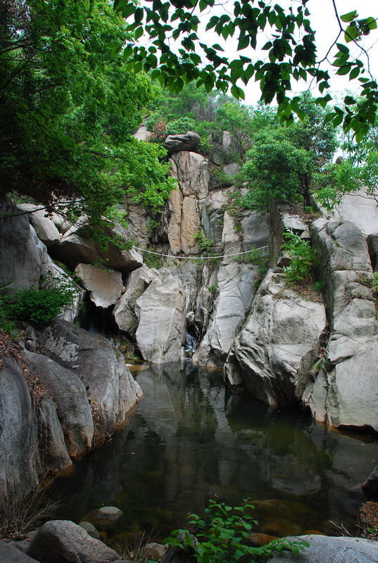 dsc_7781.jpg