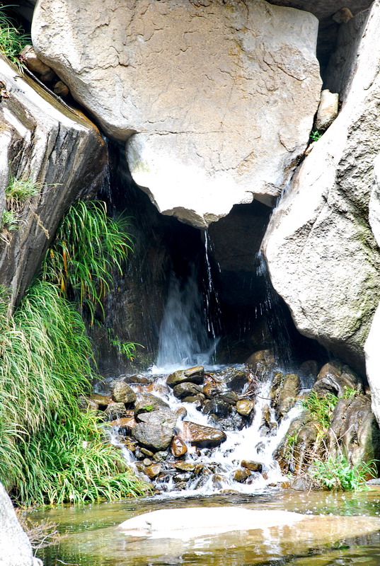 dsc_7785.jpg