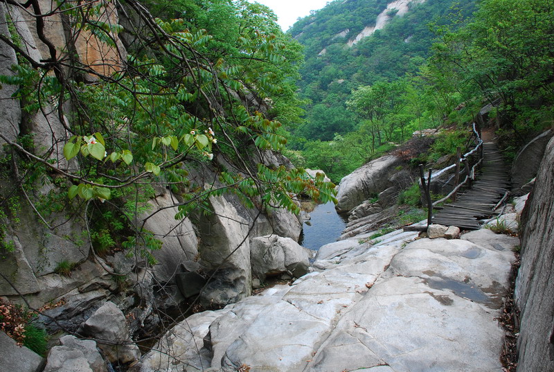 dsc_7816.jpg