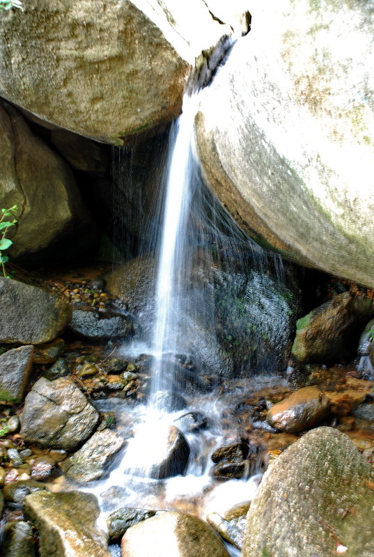 dsc_7833.jpg