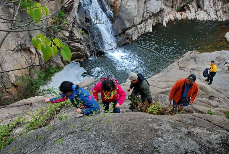 dsc_7733.jpg