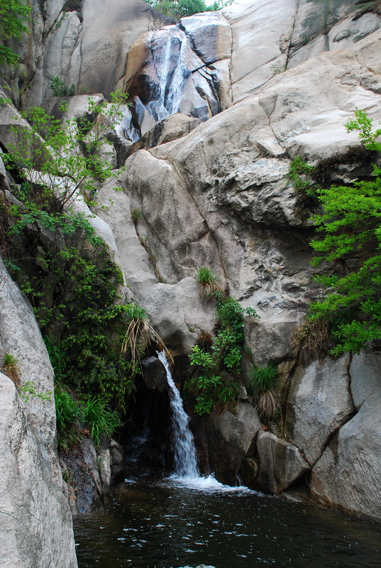 dsc_7850.jpg