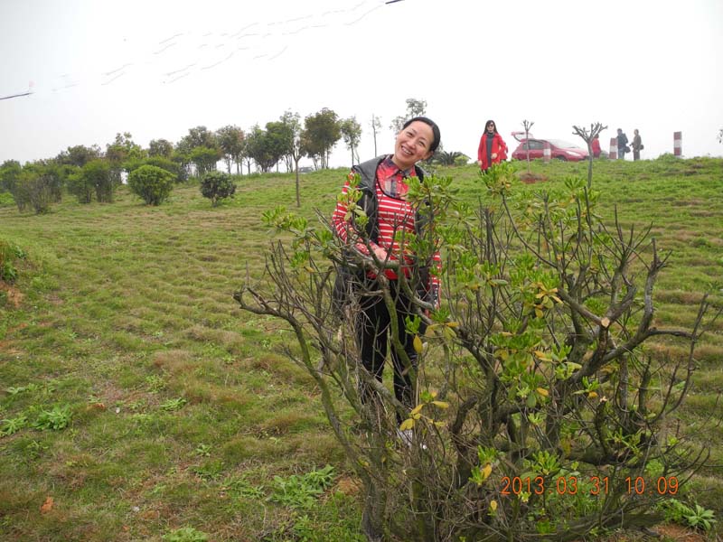 dscn5777.jpg