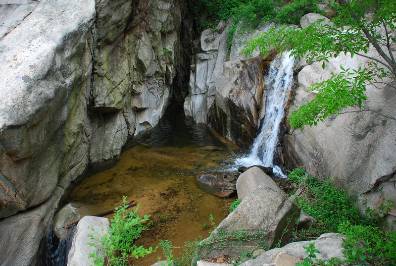 dsc_7952.jpg