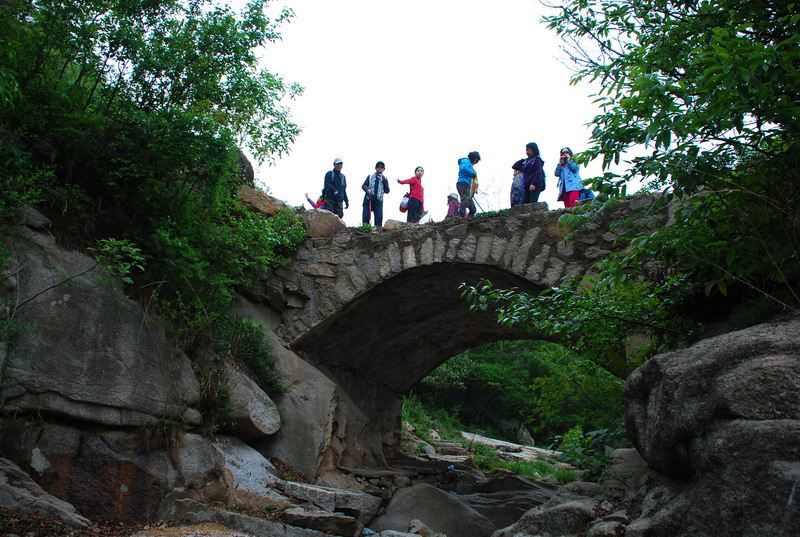 dsc_7954.jpg