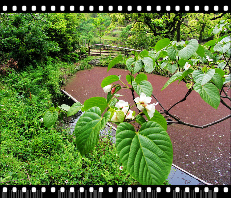 Ƭ 014.jpg