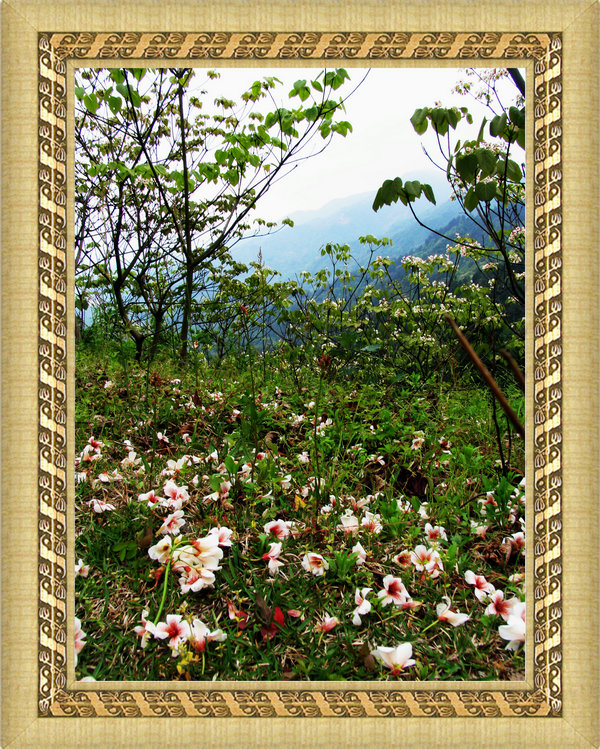 Ƭ 039.jpg