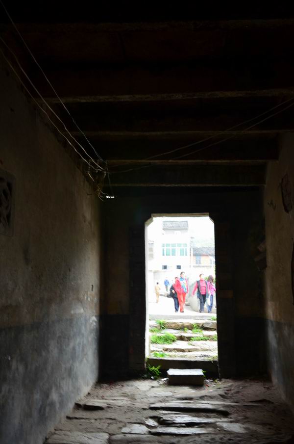 ת dsc_0148.jpg3.jpg2.jpg