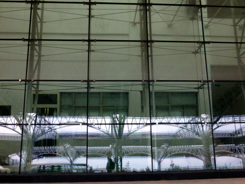 p1060423.jpg
