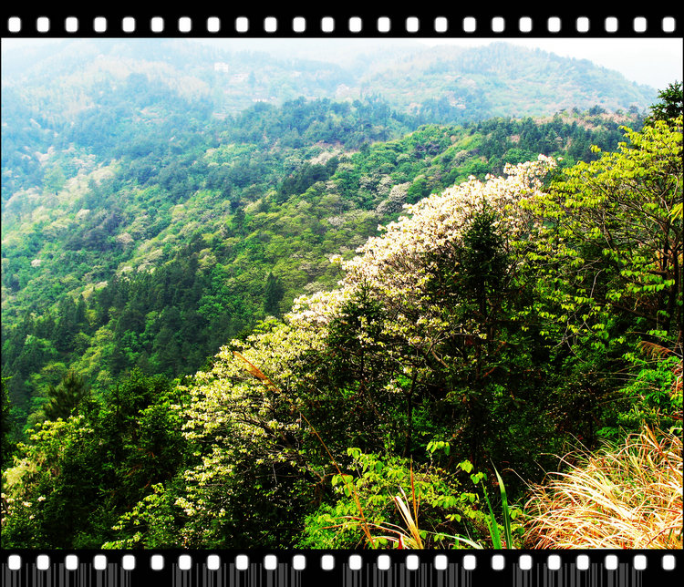 Ƭ 079.jpg