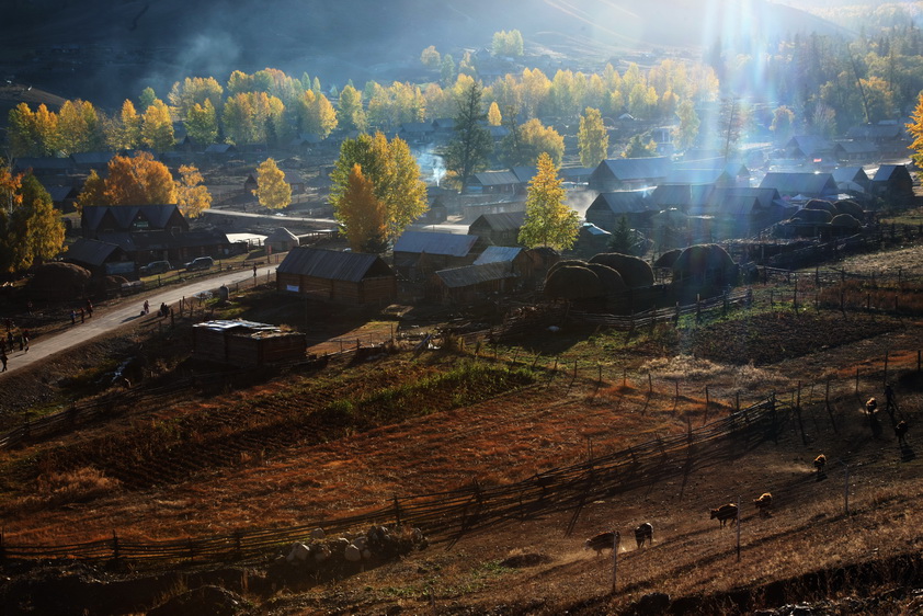 m3s_8497_С.jpg
