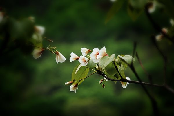 img_7588.jpg