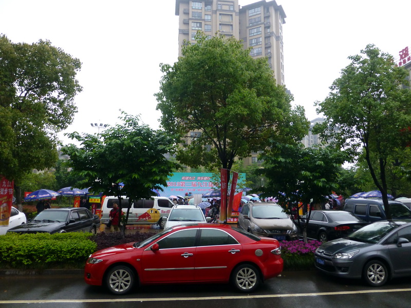 p1060480.jpg