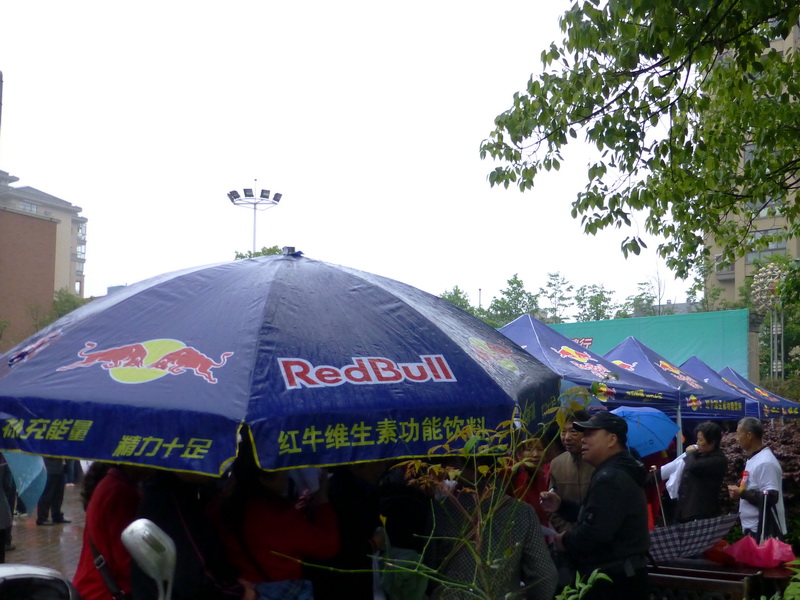 p1060483.jpg