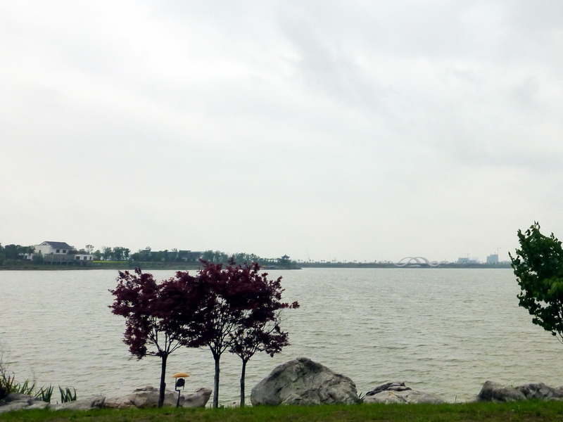 p1060516.jpg