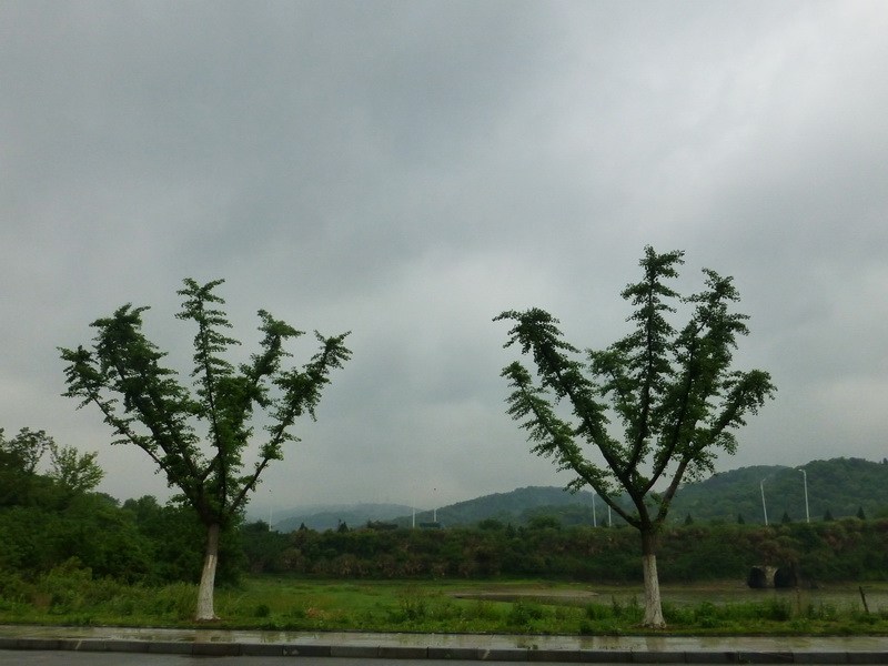 p1060517.jpg