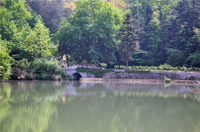 dsc_0004.jpg