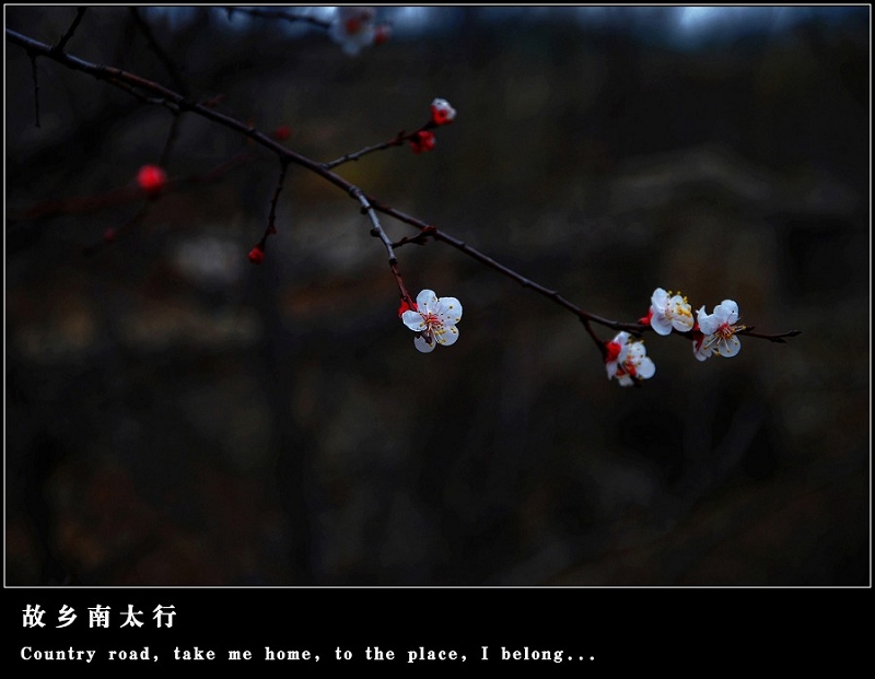 dsc_2848_neo_img_neo_img_neo_img.jpg