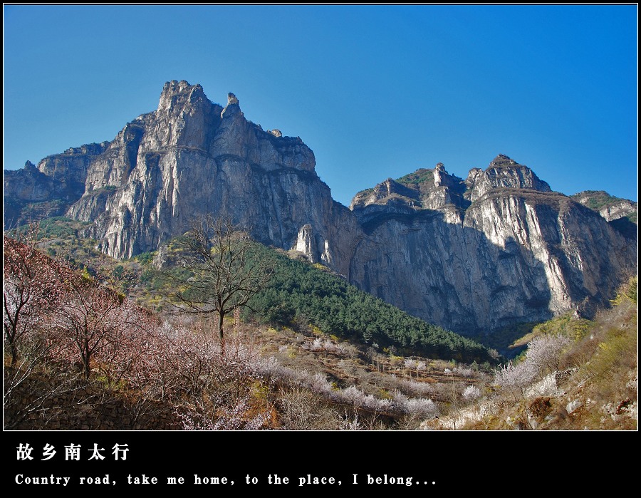 dsc_3075_neo_img_neo_img.jpg