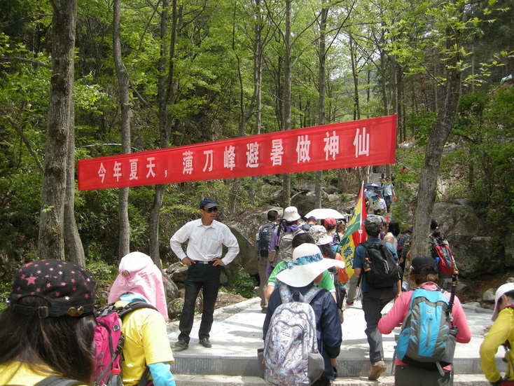 dscn8460.jpg