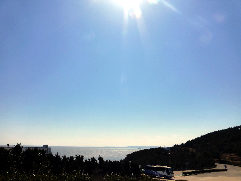 p1040848.jpg