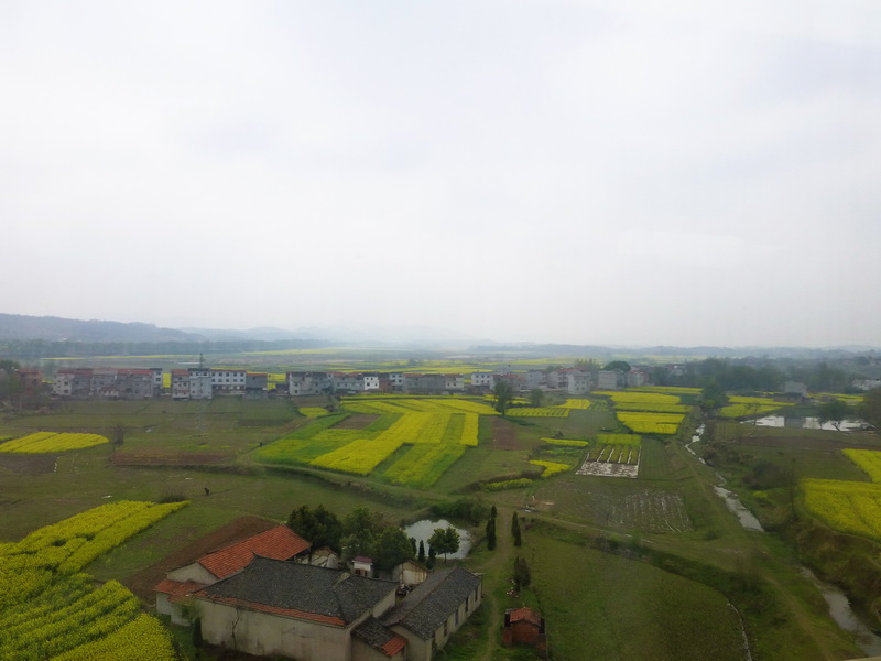 p1050003.jpg