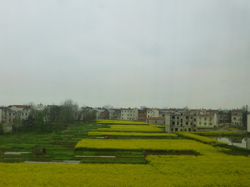 p1050019.jpg