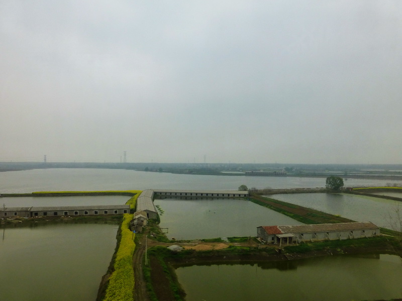 p1050052.jpg
