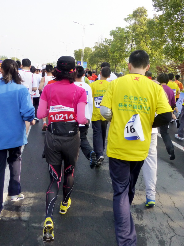 p1060640.jpg