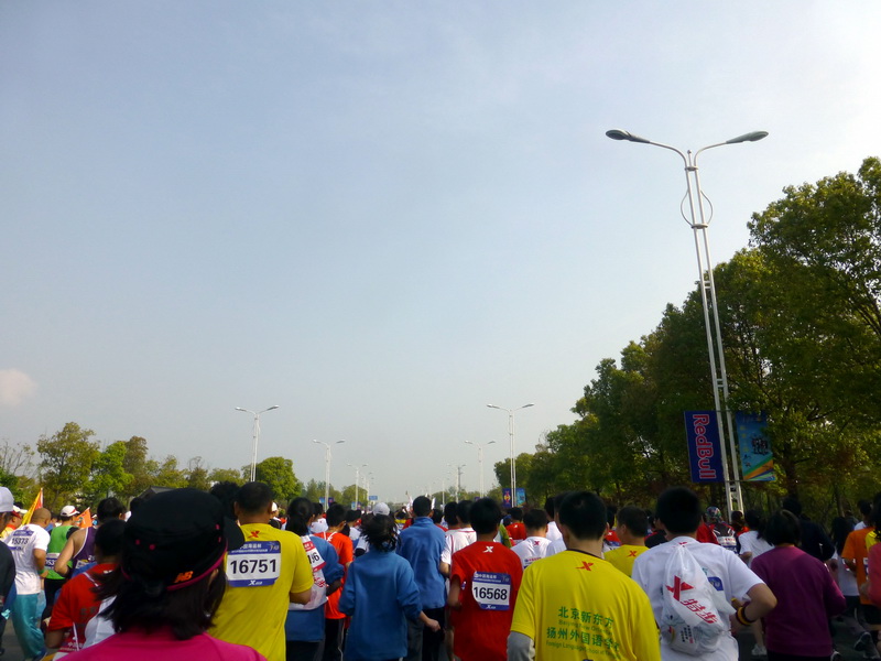 p1060639.jpg
