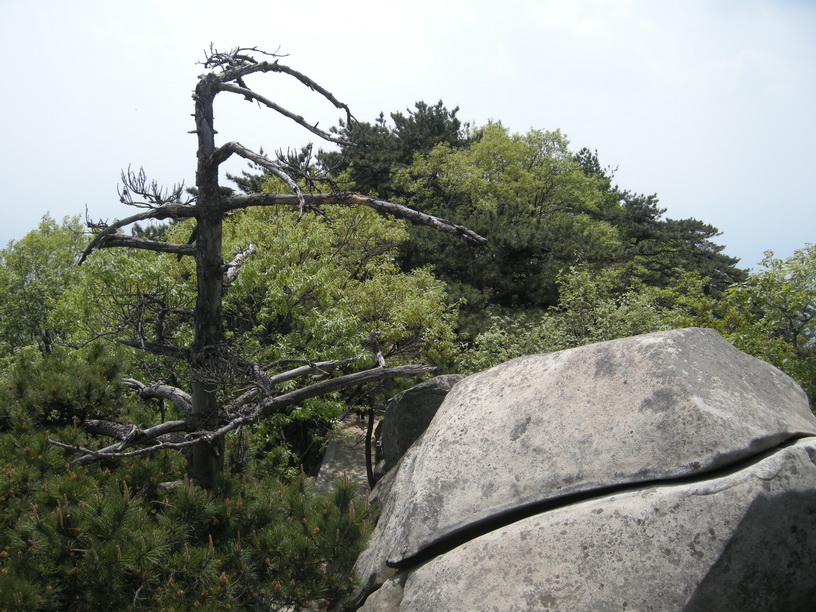 dscn8563.jpg