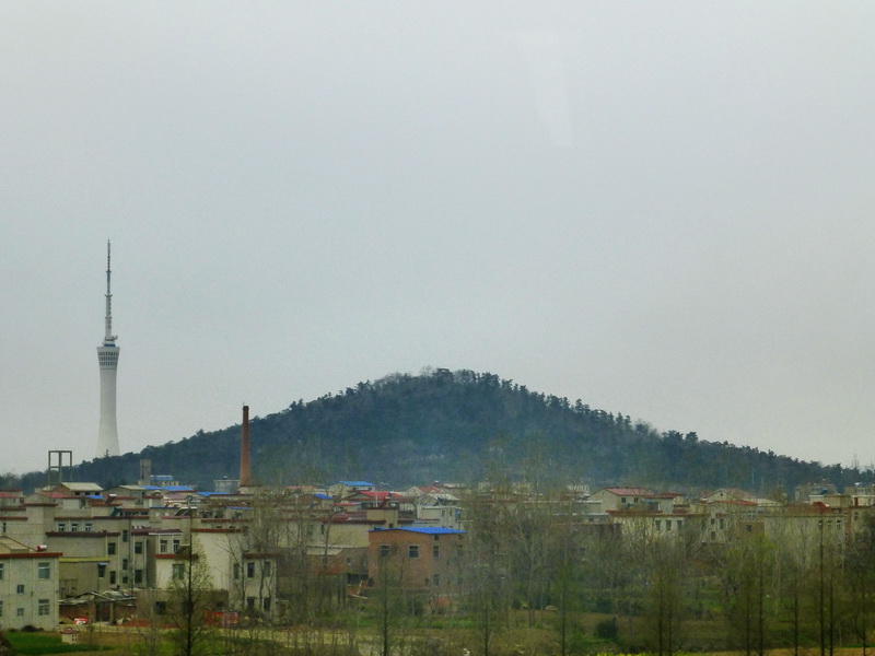 p1040950.jpg