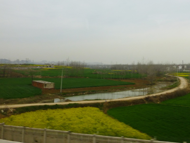 p1040959.jpg